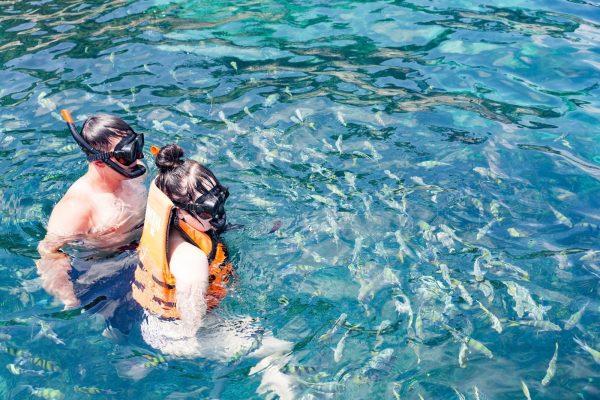 Незабываемый отдых в водах Сиамского залива