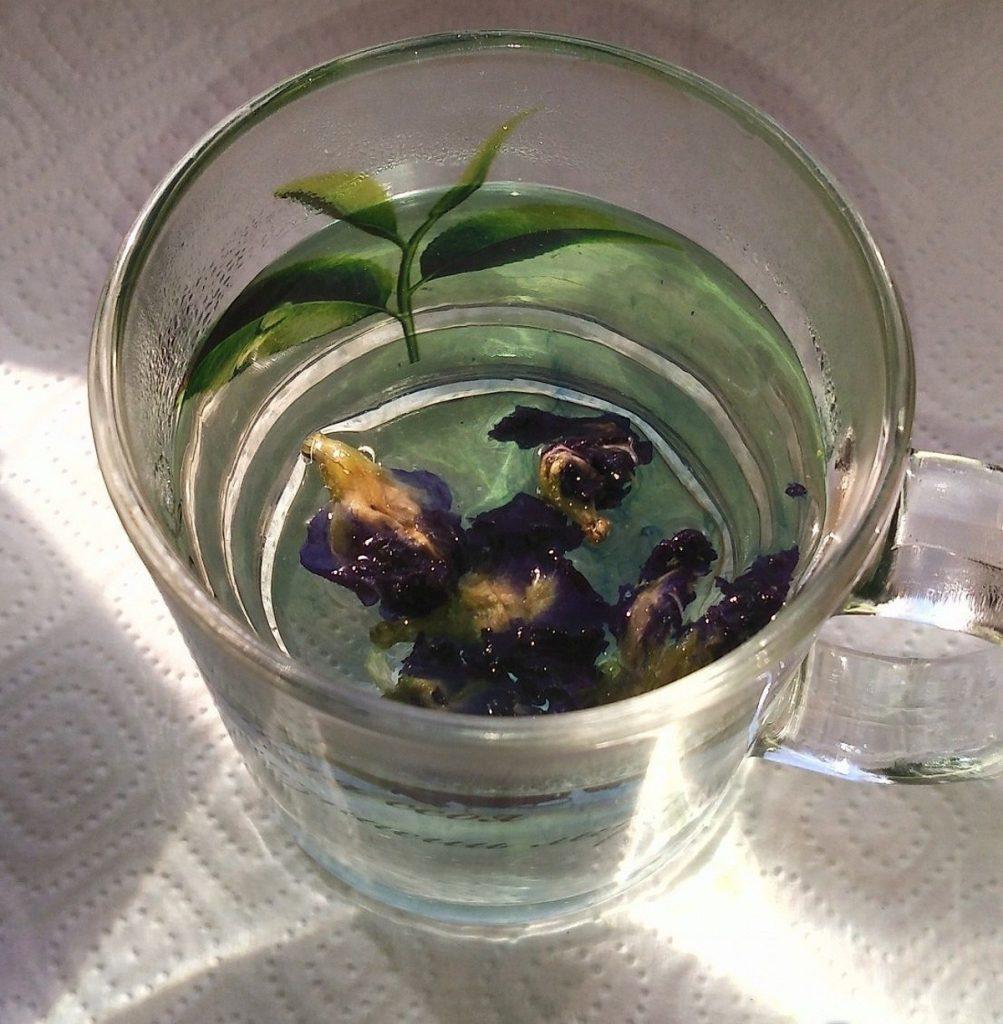 Немного чая каждый день будет полезен всем