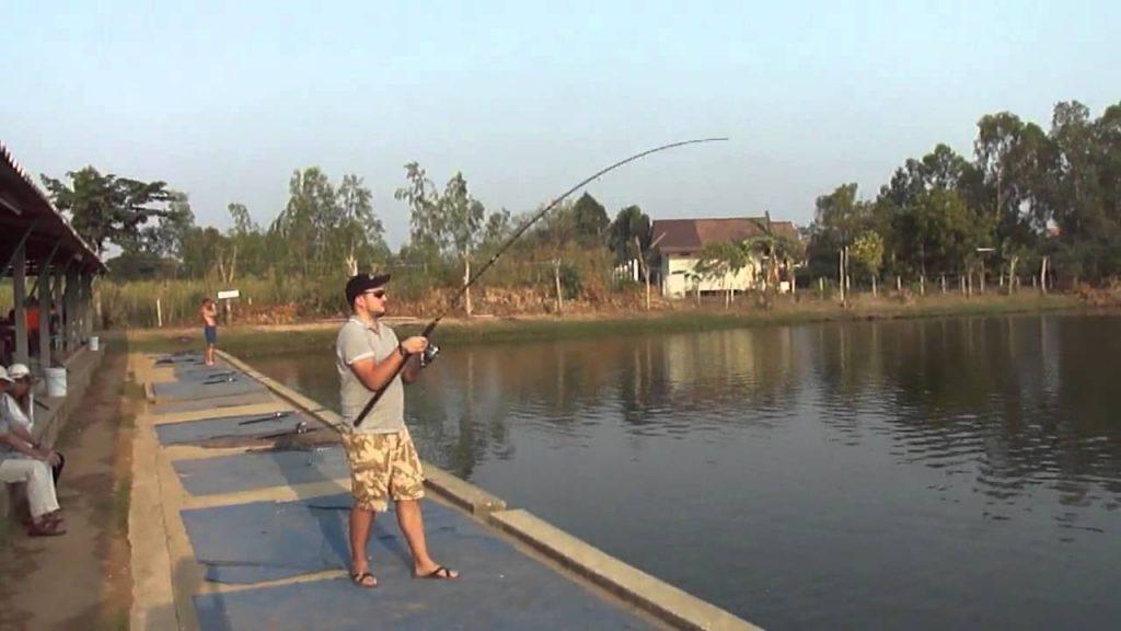 Рыбалка в рыбном парке в Джомтьене