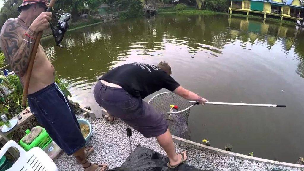 Обустроенные рыбные парки в Паттайи