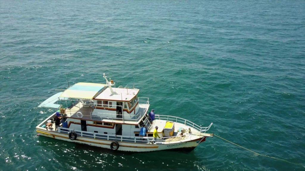 Небольшой катер поможет словить хороший улов