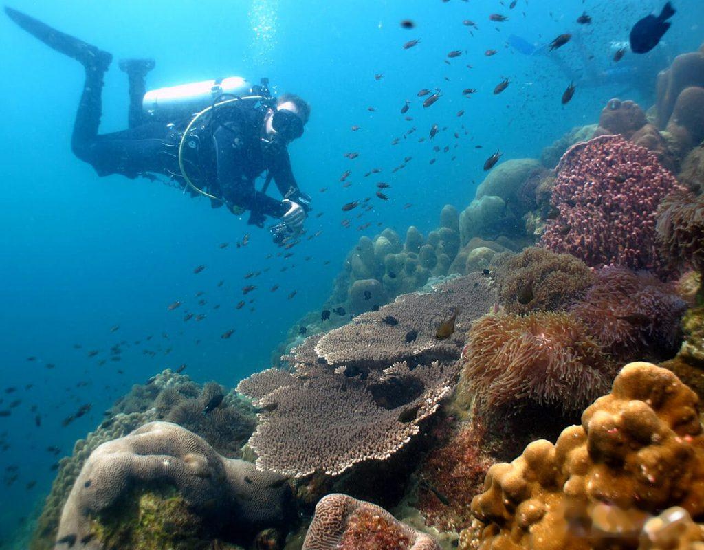 Полученный сертификат позволит погружаться с аквалангом всем желающим в водах Сиамского залива