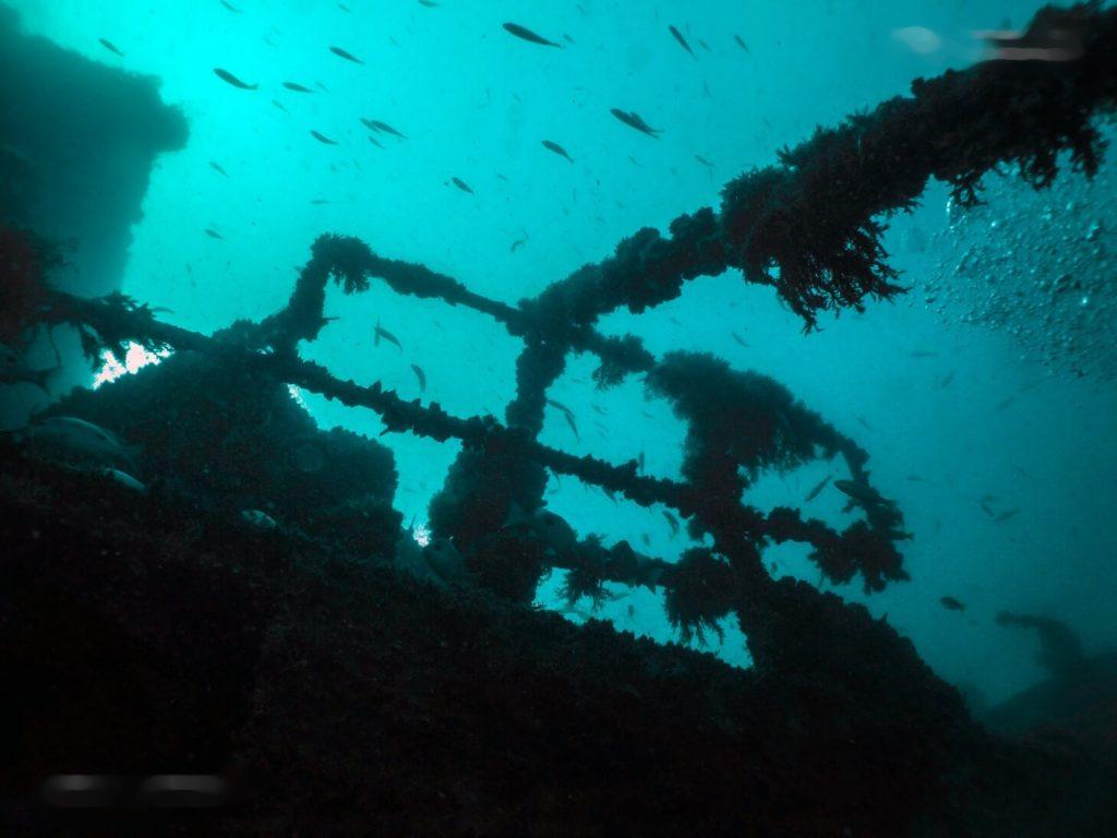 Затонувший корабль возле острова Ко Чанга заинтересует многих, но только опытные пловцы туда смогут попасть