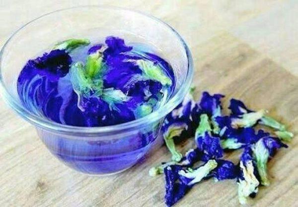 синий чай из таиланда