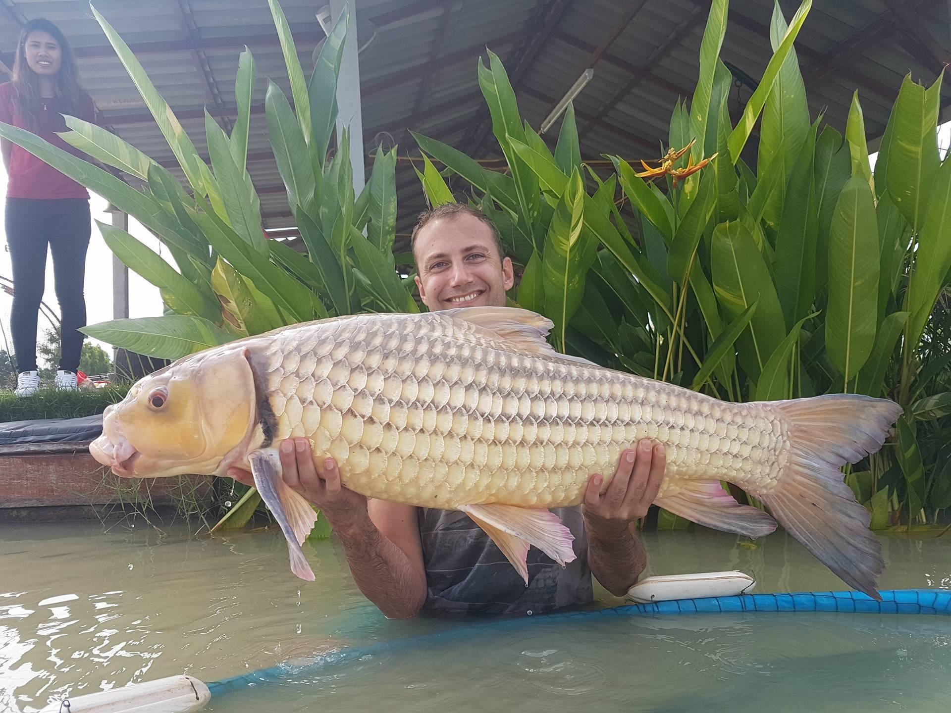 Рыбалка в Паттайе: все экскурсии на озерную, речную, морскую. Карта fishing парков
