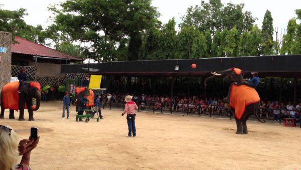 шоу с слонами в Нонг нуч